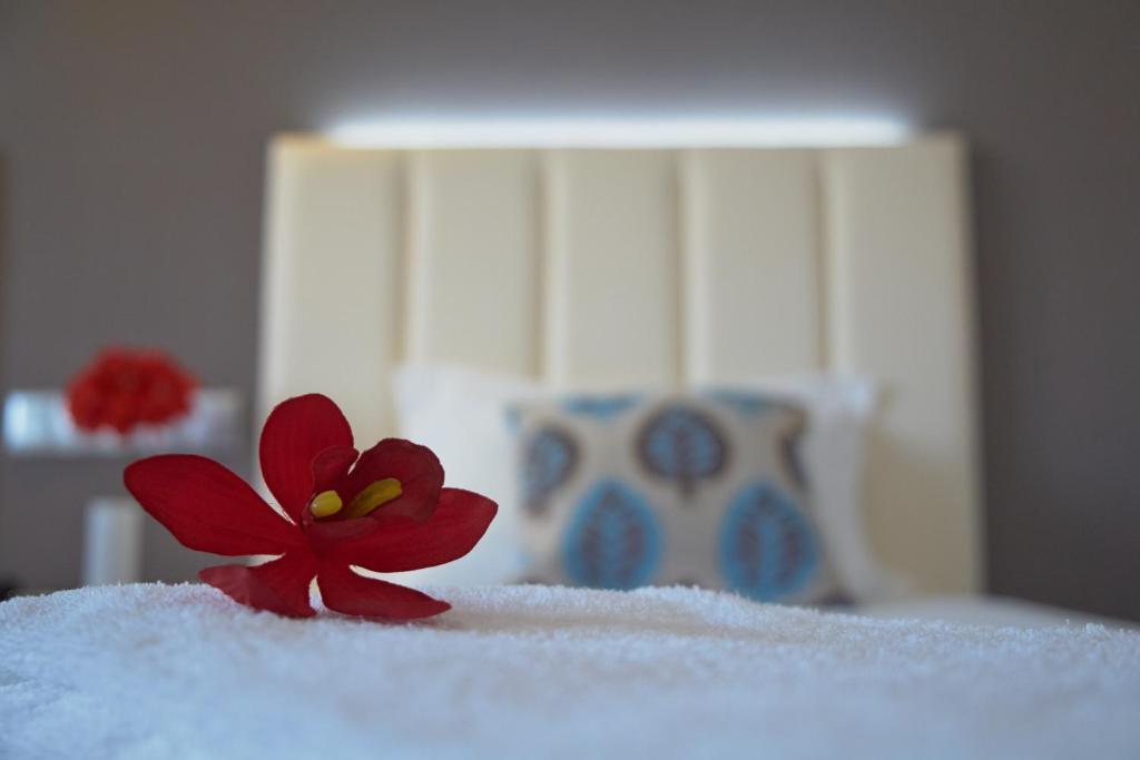 Hotel Azinheira By Ridan Hotels Фатима Номер фото